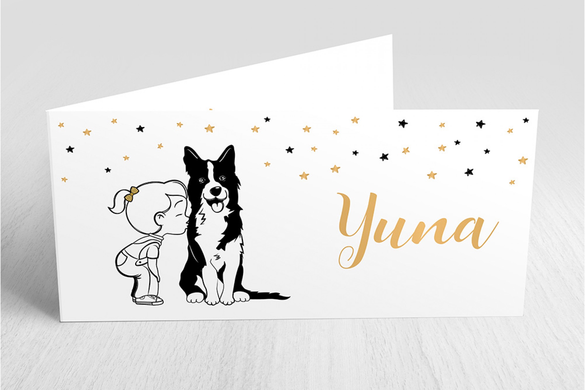 Meisje met Border Collie